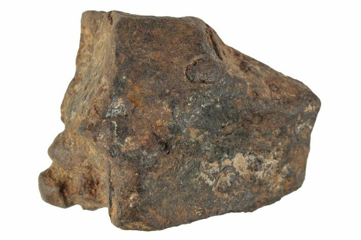 Agoudal Iron Meteorite ( g) - Morocco #245602